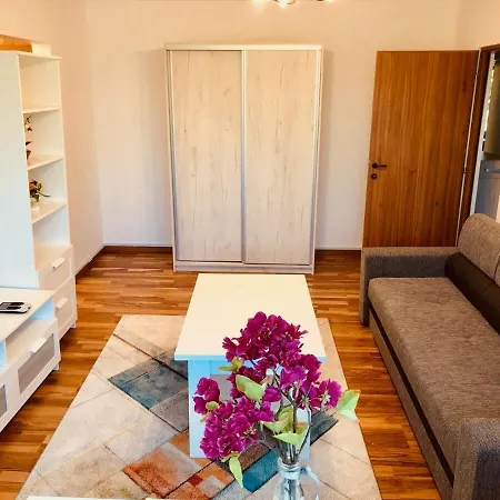 Joy Martir Miroslav 15