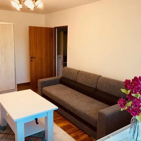 Joy Martir Miroslav 15