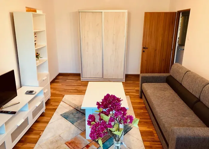 Joy Martir Miroslav 15