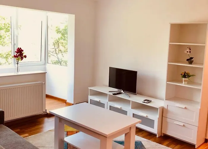 Joy Martir Miroslav 15 Timişoara