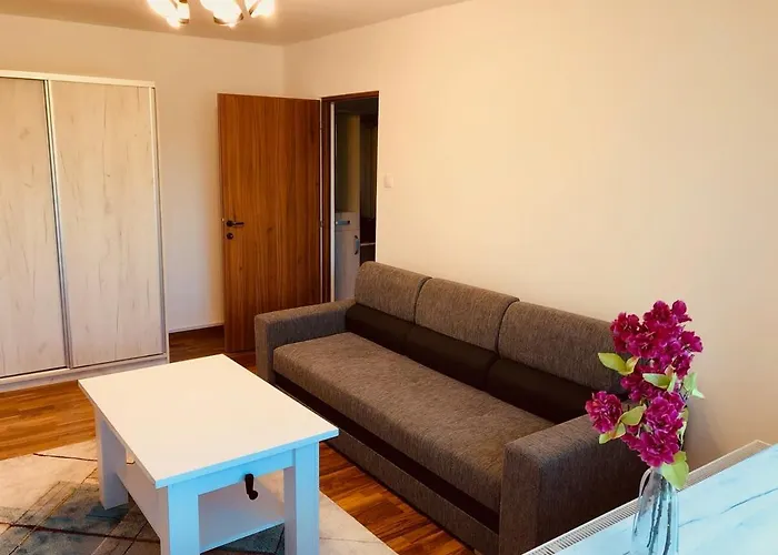 Joy Martir Miroslav 15