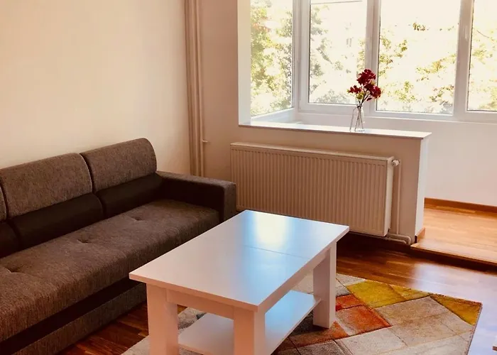 Joy Martir Miroslav 15 *