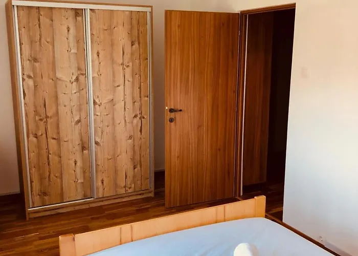 Joy Martir Miroslav 15 *