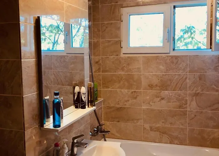 Joy Martir Miroslav 15 *